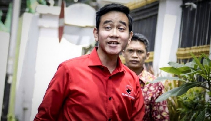 Pengalaman Lebih Penting daripada Usia untuk Gibran Menjadi Calon Wakil Presiden – Deliknews.com