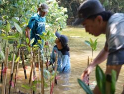 Ajakan Sahabat Alam Indonesia untuk bersama-sama dengan warga dalam menghadapi perubahan iklim