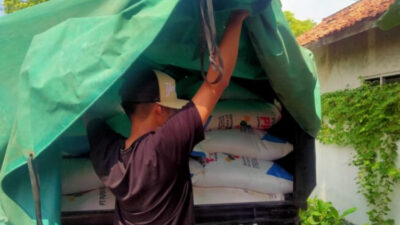 Polres Sampang Melakukan Penangkapan Terhadap 62 Sak Pupuk Bersubsidi yang Diduga Akan Diselewengkan