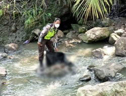 Pengunjung Asal Jakarta Ternyata Temukan Mayat Bayi di Wisata Cimory Ungaran yang Awalnya Dikira Boneka