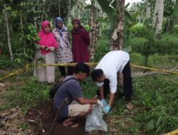 Misteri Bayi yang Dikubur di Tanah Tanggamus Lampung