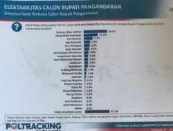 Dadang Solihat Mendominasi Poling Sementara dalam Pilkada 2024