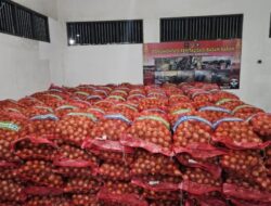 Penangkapan 8,4 Ton Bawang Bombay Ilegal dari Luar Negeri yang Diselundupkan Melalui Palangka Raya