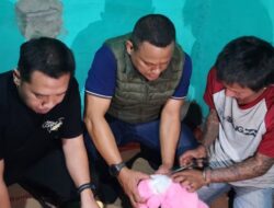 Pria yang Bawa 8 Boneka di Cipayung Jaktim Diamankan Polisi, Ternyata …