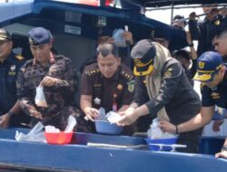 Bea Cukai Batam Berhasil Menggagalkan Upaya Penyelundupan 795.500 Ekor Benih Lobster