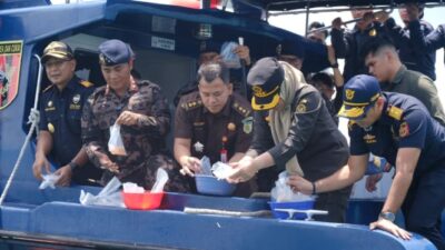 Bea Cukai Batam Berhasil Menggagalkan Upaya Penyelundupan 795.500 Ekor Benih Lobster