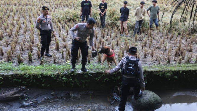 Polisi Menemukan BuktI Baru dalam Kasus Pembunuhan Nia, Gadis Penjual Gorengan di Pariaman