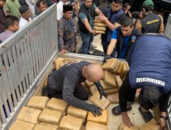 BNN Menggagalkan Peredaran 624 Kilogram Ganja di Sumatera Barat